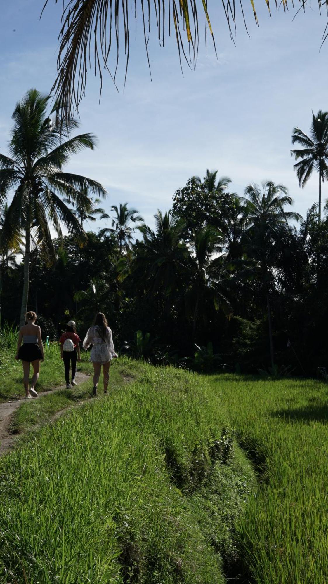 Amora Ubud Boutique Villas Exterior foto